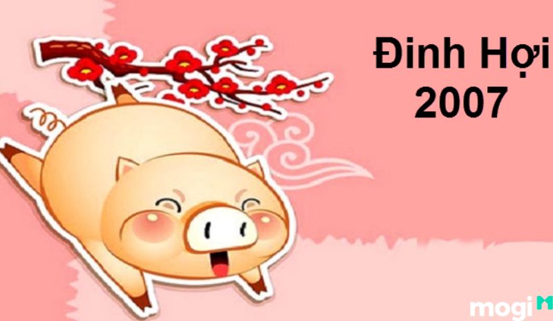 Hợi là con gì - Tuổi Đinh Hợi 2007