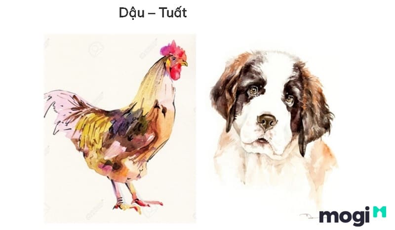 Tuổi Dậu xung hại tuổi Tuất