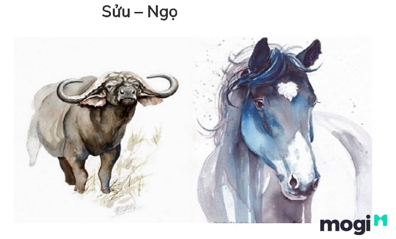 Tuổi Sửu xung hại tuổi Ngọ