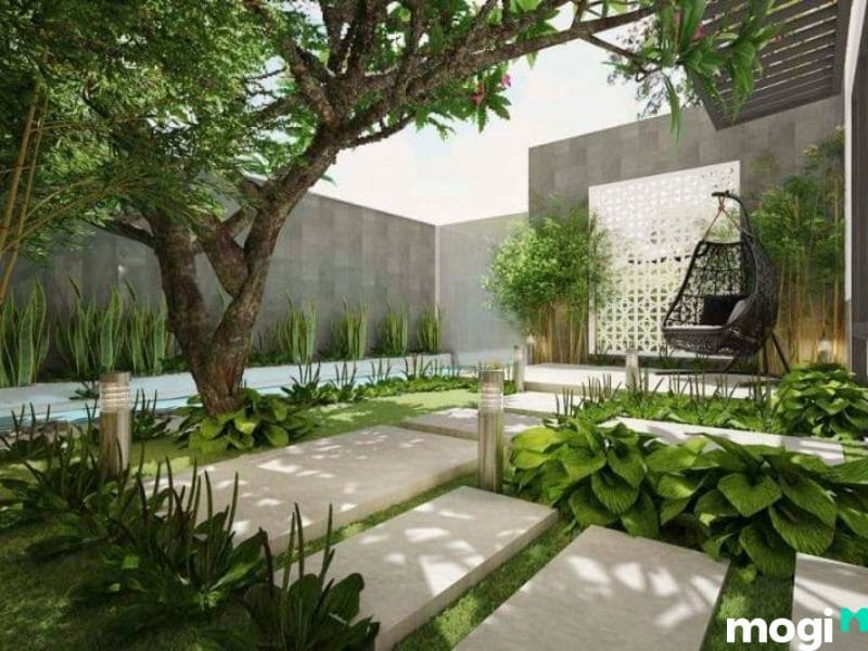 dấu hiệu đất vượng khí