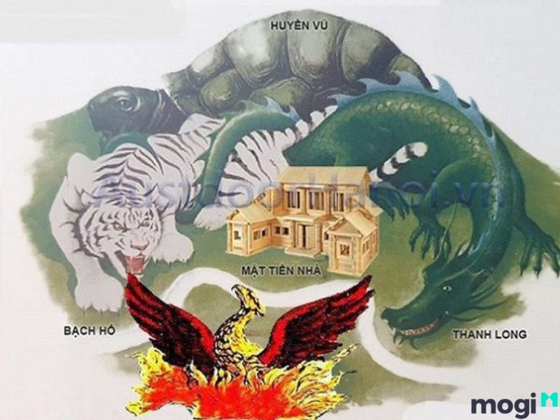 dấu hiệu đất vượng khí