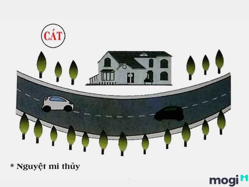 dấu hiệu đất vượng khí
