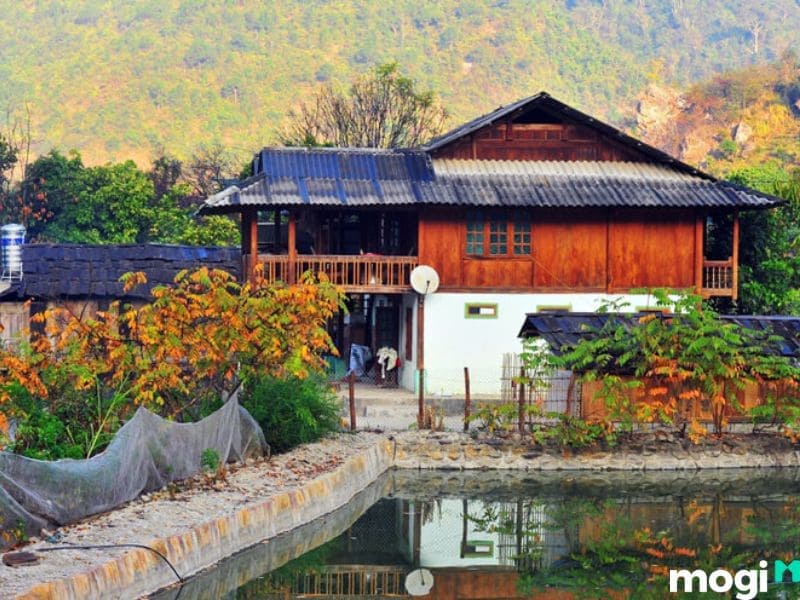 dấu hiệu đất vượng khí