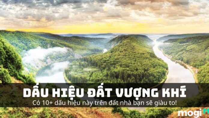 dấu hiệu đất vượng khí