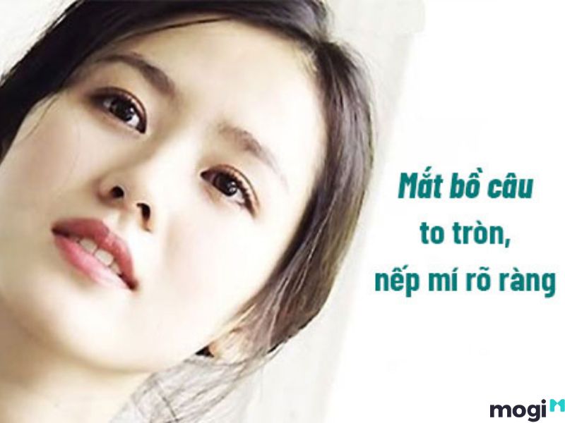 Đặc điểm mắt bồ câu là gì