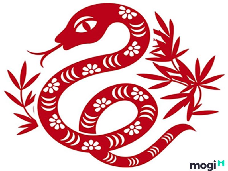 Một số lưu ý cho người sinh vào giờ Tỵ