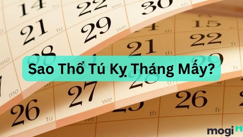 sao thổ tú kỵ tháng mấy