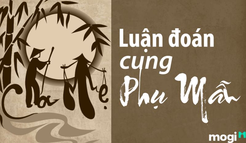 Ý nghĩa sao Thiên Quý 