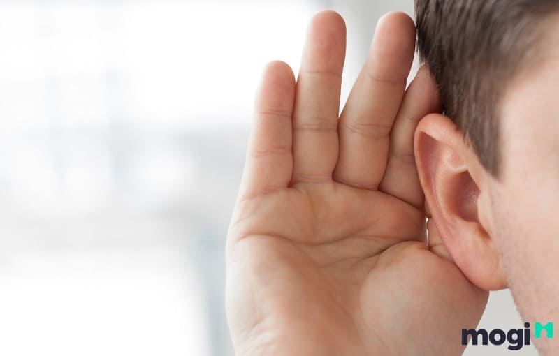 Sao Tấu Thư kết hợp với Phượng
