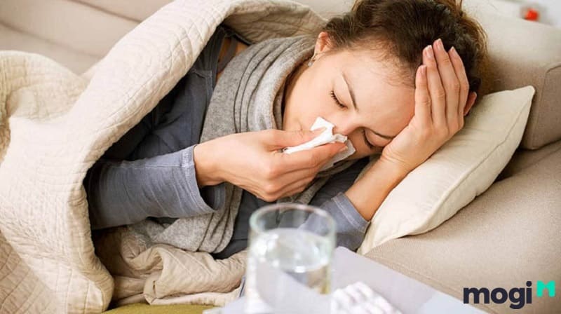 Tấu Thư tọa cung Tật Ách