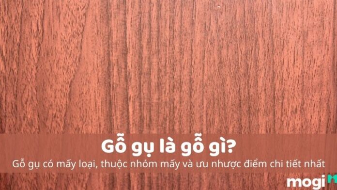 gỗ gụ là gỗ gì