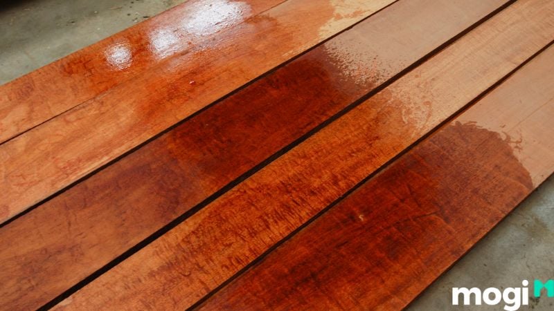 Gỗ gụ là gỗ gì và có bao nhiêu loại hiện nay?