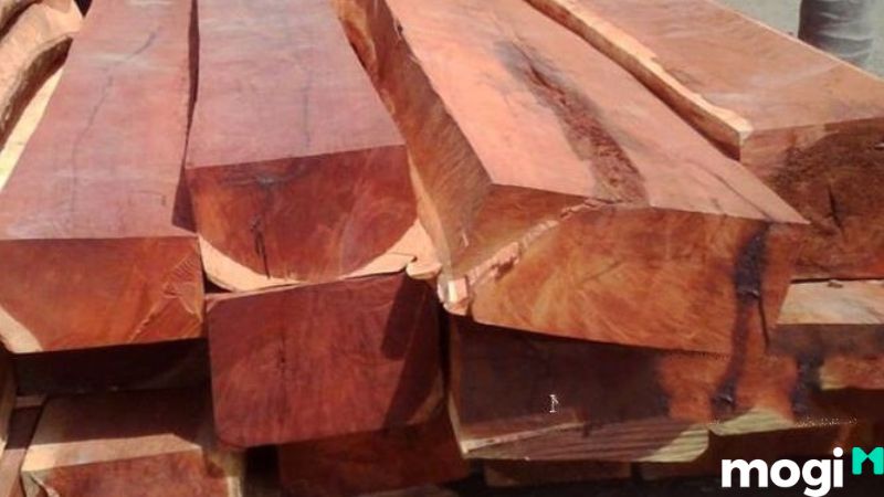 Gỗ gụ là gỗ gì và g được tìm thấy ở đâu