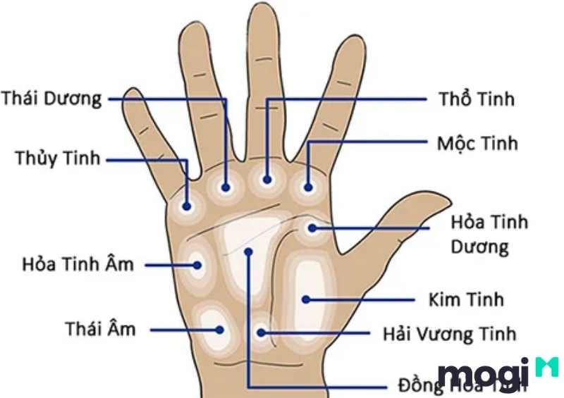 Gò Thái Dương nằm dưới ngón tay áp út (còn gọi là ngón Thái Dương)