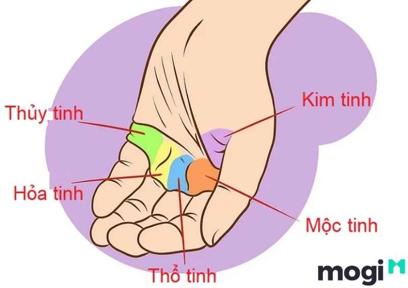 Vận mệnh gò thái dương hài hòa