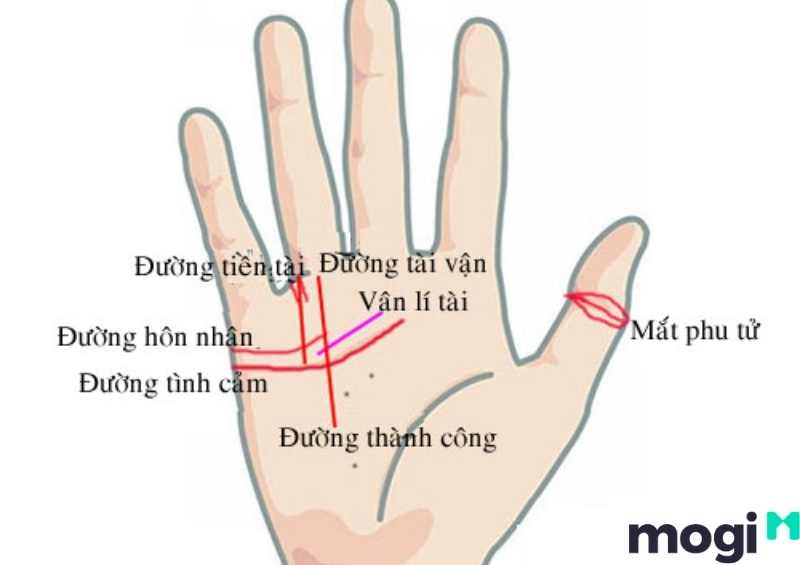 Vận mệnh gò thái dương bằng phẳng