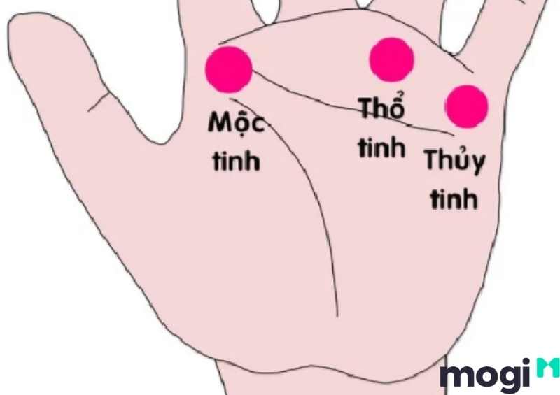 Vận mệnh gò thái dương có các gò khác ngả về