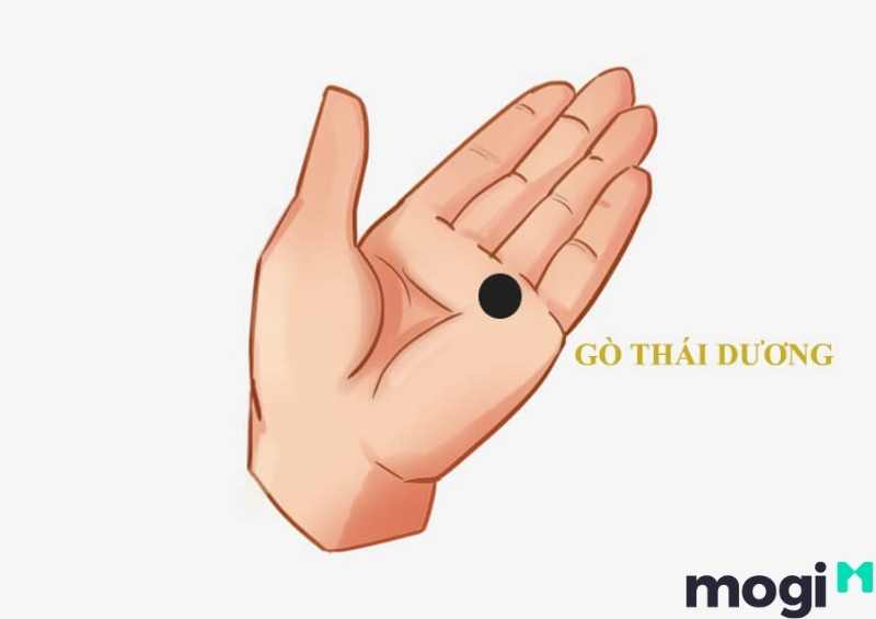 gò thái dương là gì