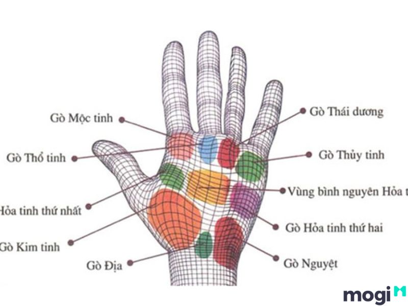 Gò Thái  m là gì