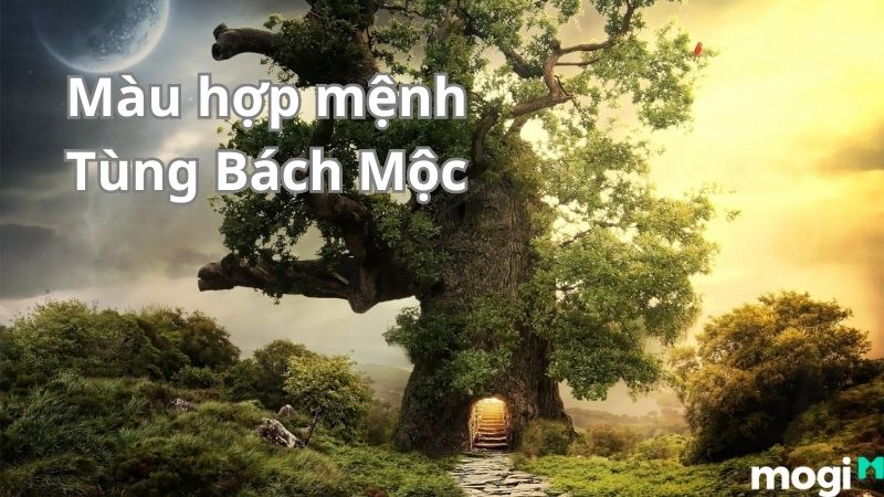Tùng Bách Mộc