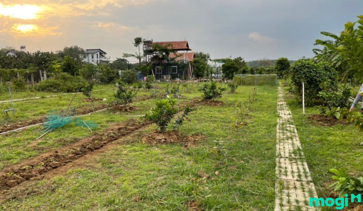 Lưu ý khi mua đất vườn Cần Thơ