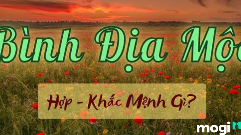 bình địa mộc là gì
