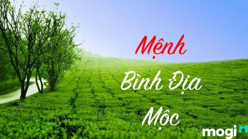 bình địa mộc là gì