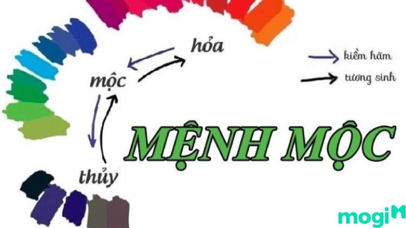 bình địa mộc là gì