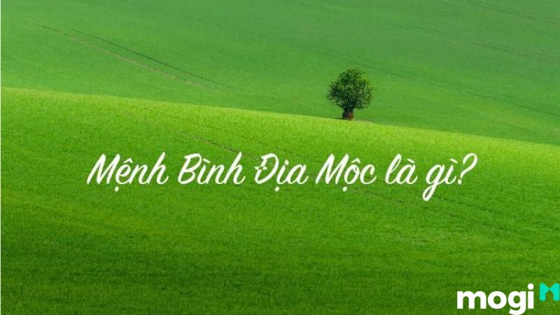 bình địa mộc là gì
