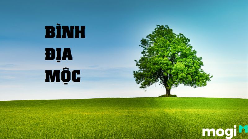 bình địa mộc là gì