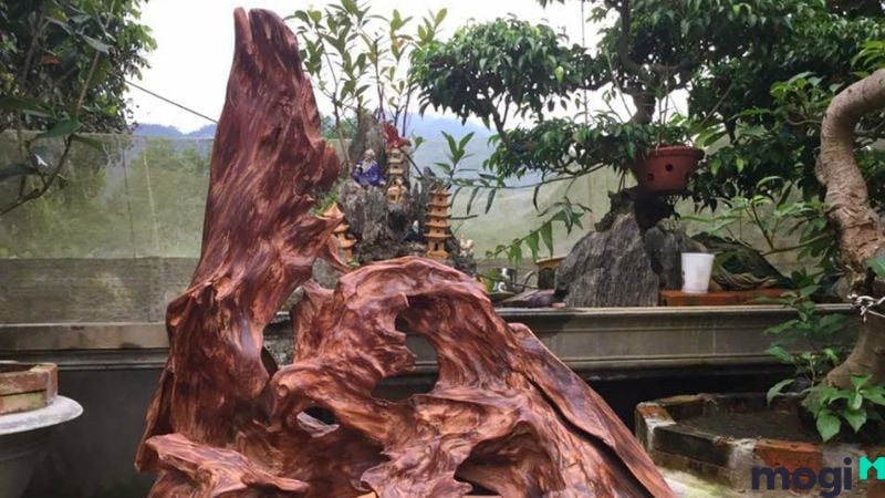 Gỗ Ngọc Am là gì?