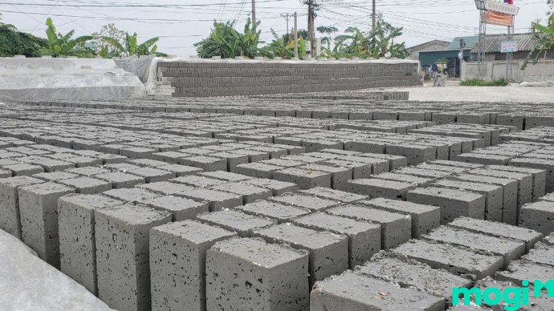 Gạch taplo dạng đặc