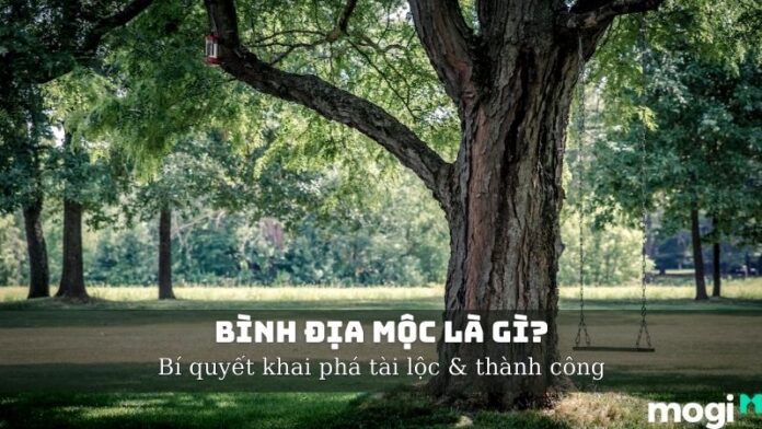 bình địa mộc là gì