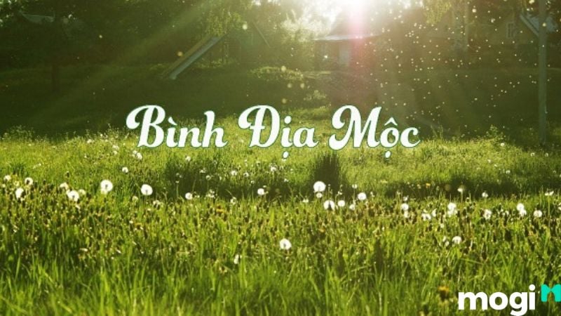 bình địa mộc 