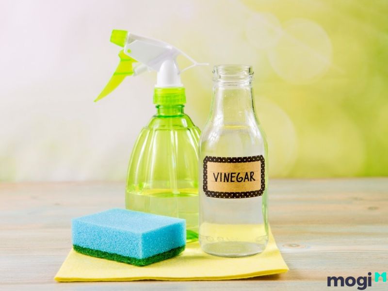 cách đuổi kiến cánh