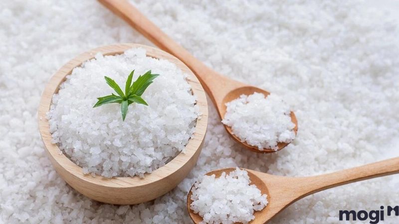Cách Diệt Ốc Sên Đơn Giản Tại Nhà, 100% Thành Công 7 Cách diệt ốc sên bằng muối