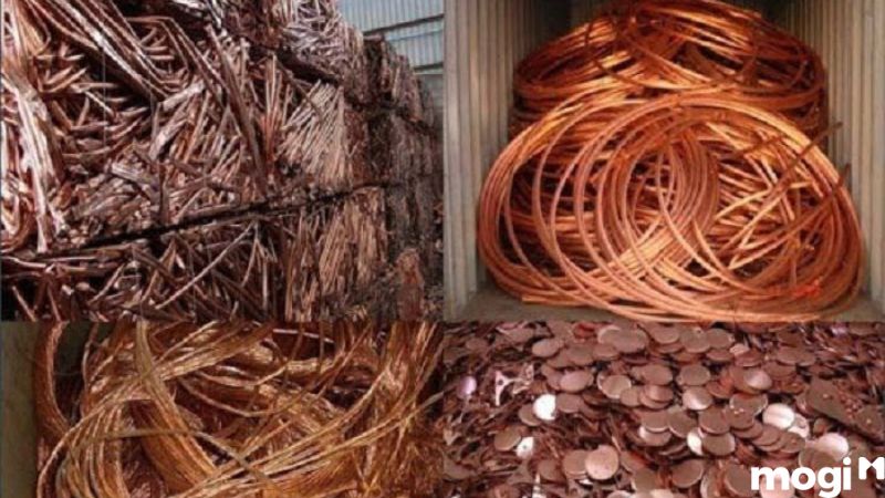 Cách Diệt Ốc Sên Đơn Giản Tại Nhà, 100% Thành Công 14 Cách diệt ốc sên