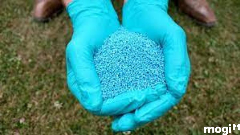 Cách Diệt Ốc Sên Đơn Giản Tại Nhà, 100% Thành Công 24 Cách diệt ốc sên