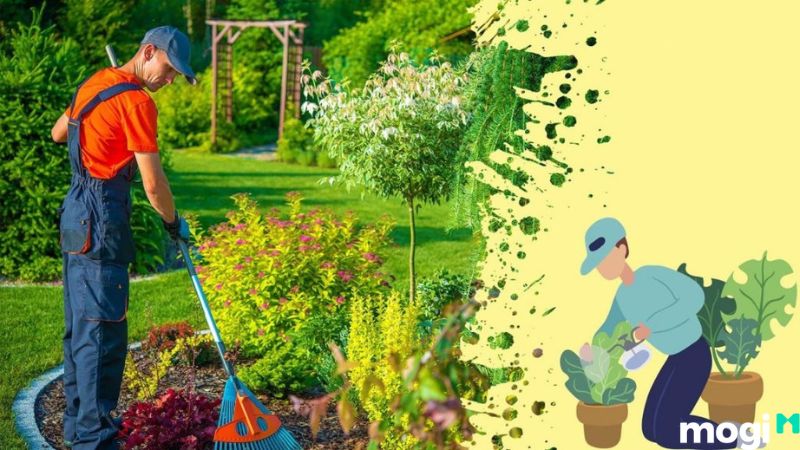 Cách Diệt Ốc Sên Đơn Giản Tại Nhà, 100% Thành Công 25 Cách diệt ốc sên