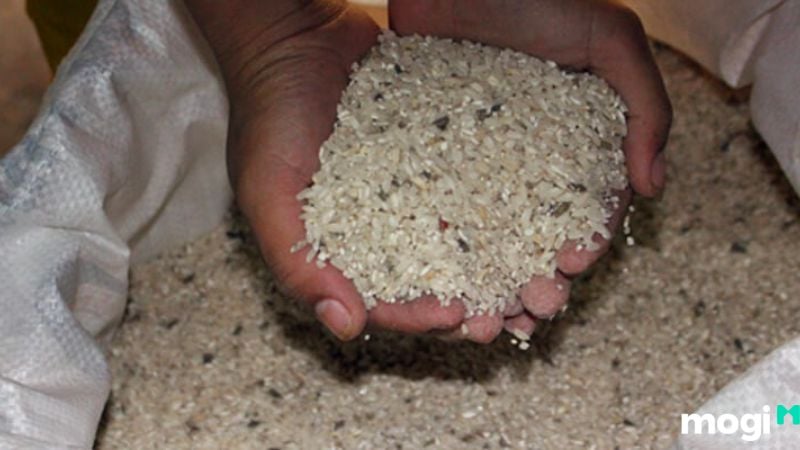 Cách trị mọt gạo