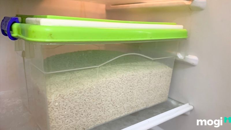 Cách trị mọt gạo