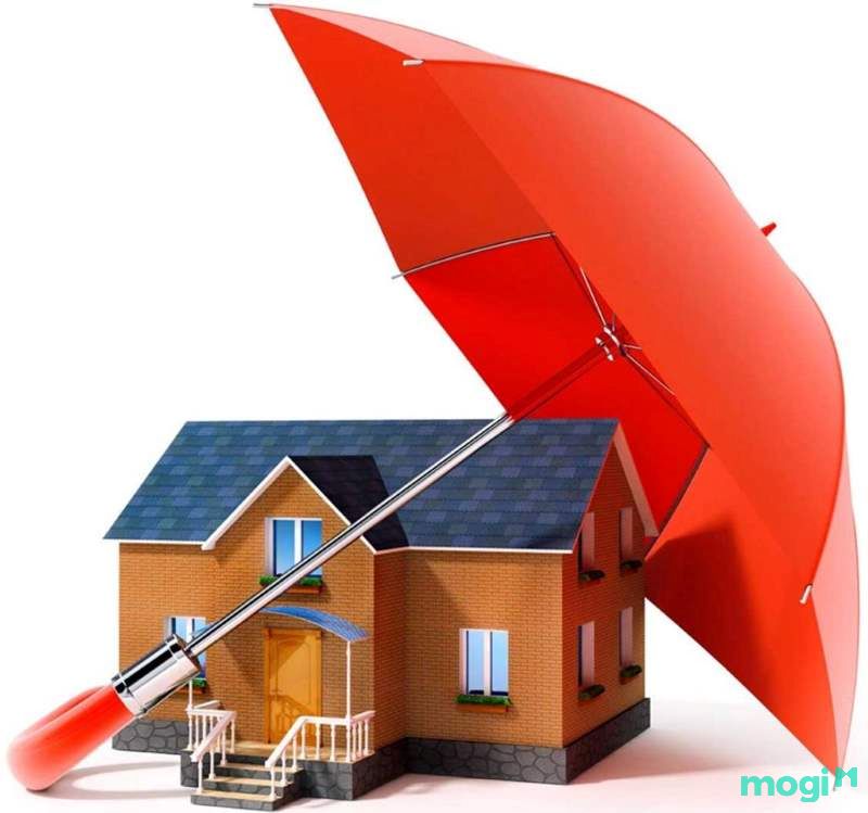 giấy dán tường chống ẩm mốc