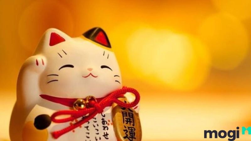 Giật Môi Là Báo Hiệu Điềm Gì? Giải Mã Hiện Tượng Giật Môi Chuẩn Xác Nhất 5 giật môi