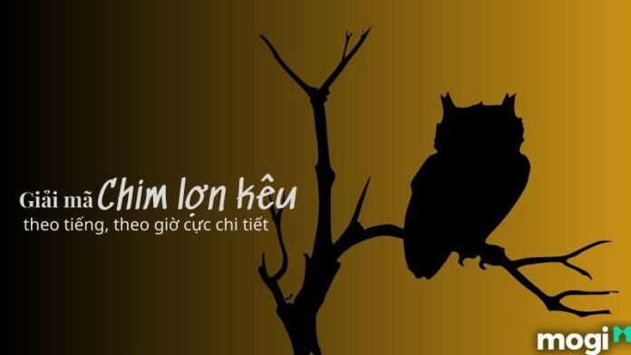 chim lợn kêu