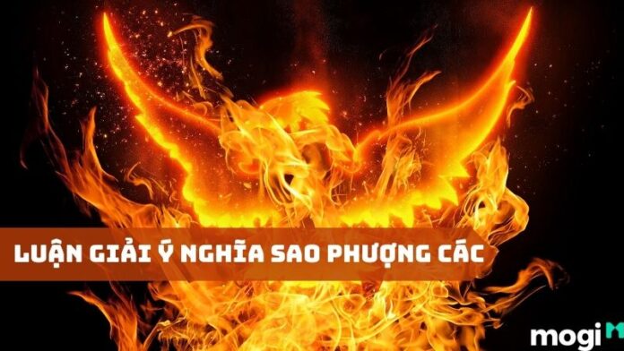 Sao Phượng Các