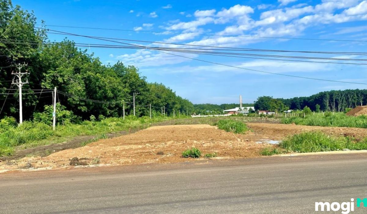 Các loại hình mua bán đất Bình Phước