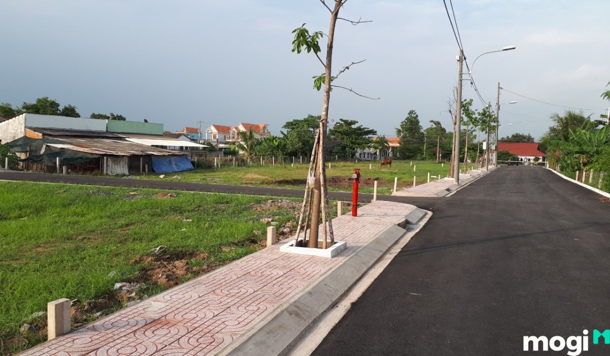 Các loại đất tại đức Hòa
