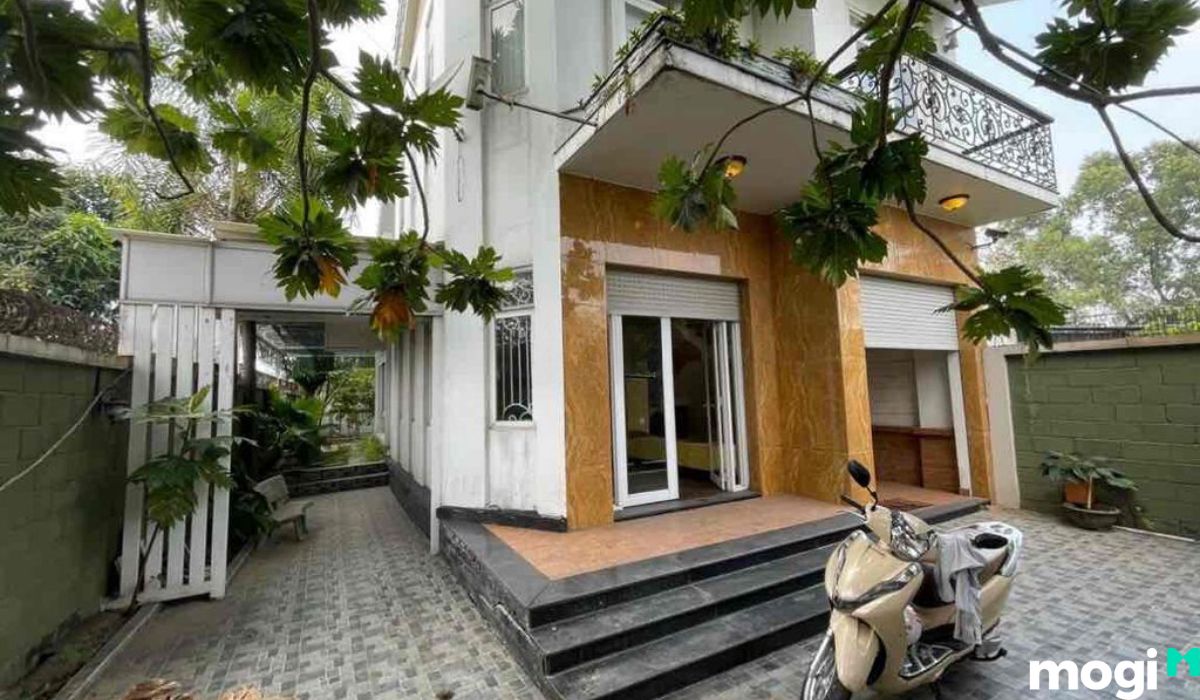 cơ sở vậy chất thanh xuân