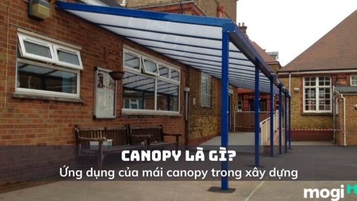 canopy là gì