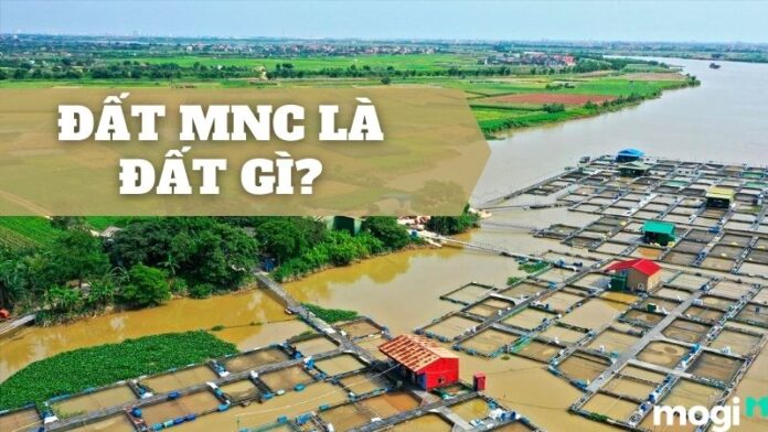 MNC là đất gì?